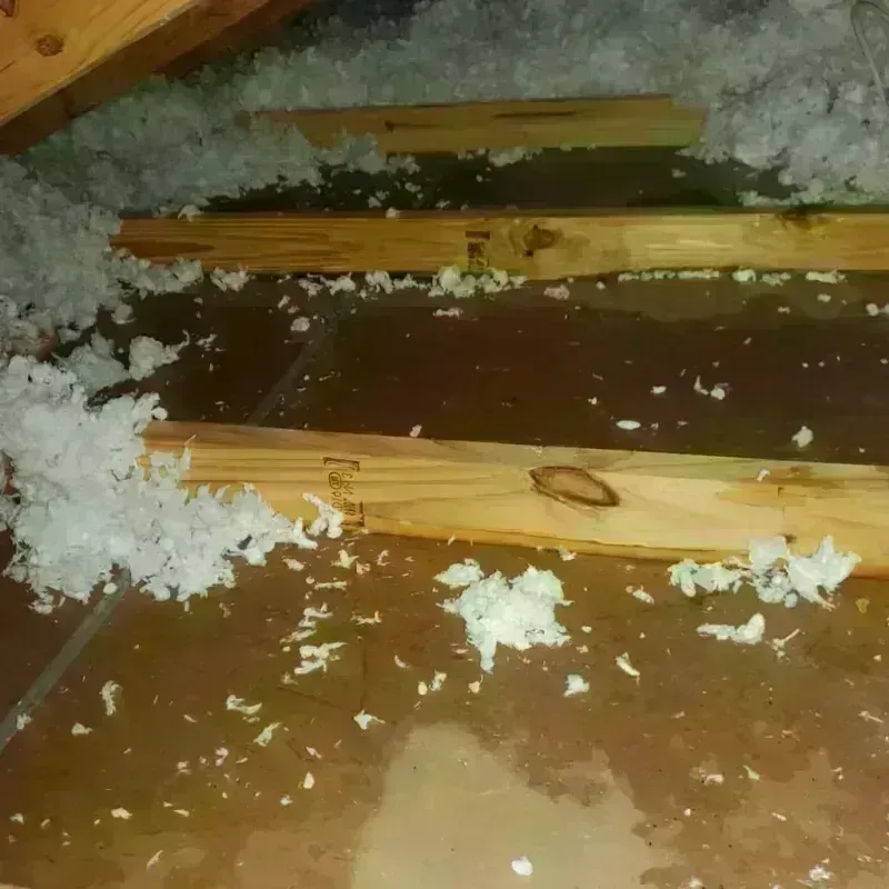 Attic Water Damage in Washington County, WI