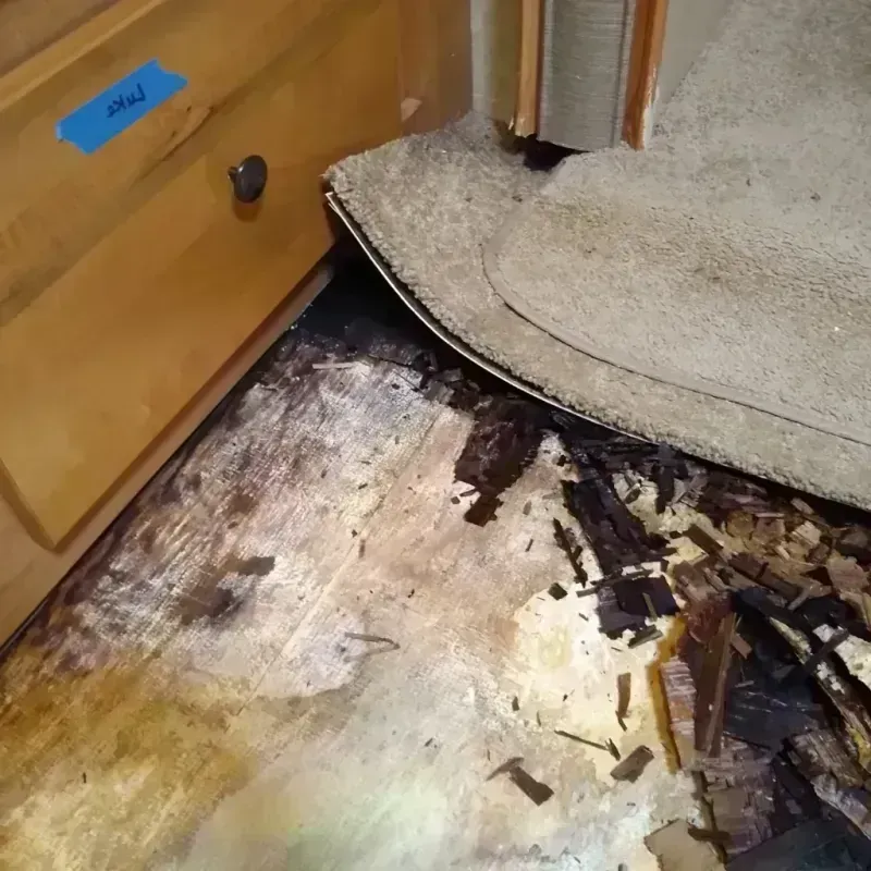 Best Wood Floor Water Damage Service in Washington County, WI